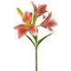 Kunstig blomst asiatisk lilje 66 cm gammelrosa Kunstig blomst asiatisk lilje 66 cm gammelrosa