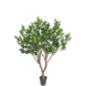 Kunstigt citrontræ 250 cm Kunstigt citrontræ 250 cm