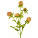 Kunstig blomst Tidsel 66 cm fersken Kunstig blomst Tidsel 66 cm fersken
