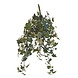 Kunstig vedbend Deluxe grøn-hvid 60 cm Kunstig vedbend Deluxe grøn-hvid 60 cm