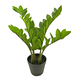 Kunstig plante Zamioculcas 55 cm Kunstig plante Zamioculcas 55 cm