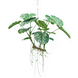 Kunstig hængeplante Monstera 160 cm XXL Kunstig hængeplante Monstera 160 cm XXL