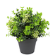 Kunstig plante Eucalyptus mix 22 cm UV Kunstig plante Eucalyptus mix 22 cm UV