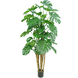 Kunstig plante Monstera 210 cm Kunstig plante Monstera 210 cm
