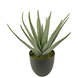 Kunstig agave 34 cm Kunstig agave 34 cm