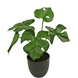 Kunstig Monstera 26 cm i prydpotte sort Kunstig Monstera 26 cm i prydpotte sort