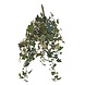 Kunstig vedbend Deluxe grøn-hvid 60 cm Kunstig vedbend Deluxe grøn-hvid 60 cm
