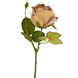 Kunstig rose Deluxe 45 cm beige Kunstig rose Deluxe 45 cm beige