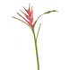 Kunstig blomst Heliconia 90 cm fuchsia Kunstig blomst Heliconia 90 cm fuchsia