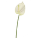 Kunstig Anthurium 65 cm hvid Kunstig Anthurium 65 cm hvid