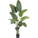 Kunstig plante Strelitzia Deluxe 190 cm Kunstig plante Strelitzia Deluxe 190 cm