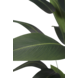 Kunstig plante Heliconia 180 cm Kunstig plante Heliconia 180 cm