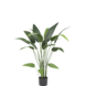 Kunstig plante Heliconia 110 cm Kunstig plante Heliconia 110 cm
