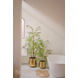 Kunstig plante Chamaedorea-palme 180 cm Kunstig plante Chamaedorea-palme 180 cm