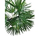 Kunstig plante Baby Palm Fan i potte 50 cm Kunstig plante Baby Palm Fan i potte 50 cm