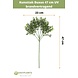 Kunstig Buxus-gren 47 cm UV-flammehæmmende Kunstig Buxus-gren 47 cm UV-flammehæmmende