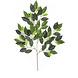 Kunstigt blad Ficus Folia Brandhæmmende 50 cm Kunstigt blad Ficus Folia Brandhæmmende 50 cm
