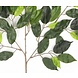 Kunstigt blad Ficus Folia Brandhæmmende 50 cm Kunstigt blad Ficus Folia Brandhæmmende 50 cm