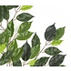 Kunstigt blad Ficus Folia Brandhæmmende 50 cm Kunstigt blad Ficus Folia Brandhæmmende 50 cm