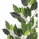 Kunstigt blad Ficus Folia Brandhæmmende 50 cm Kunstigt blad Ficus Folia Brandhæmmende 50 cm
