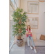 Lady kunstig palme 210 cm Lady kunstig palme 210 cm
