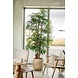 Lady kunstig palme 210 cm Lady kunstig palme 210 cm