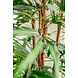 Lady kunstig palme 210 cm Lady kunstig palme 210 cm