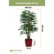 Lady kunstig palme 210 cm Lady kunstig palme 210 cm