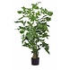 Kunstig plante Fiskehalepalme 190 cm Kunstig plante Fiskehalepalme 190 cm