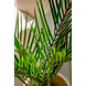 Kunstig palme Areca 120 cm Kunstig palme Areca 120 cm
