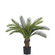 Kunstig plante Cycad palm 80 cm Kunstig plante Cycad palm 80 cm