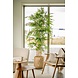 Kunstig plante bambus 210 cm Kunstig plante bambus 210 cm