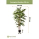 Kunstig plante bambus 210 cm Kunstig plante bambus 210 cm