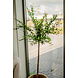 Kunstig plante Eukalyptus 150 cm Kunstig plante Eukalyptus 150 cm