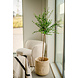 Kunstig plante Eukalyptus 150 cm Kunstig plante Eukalyptus 150 cm