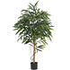 Kunstig plante Longifolia Royale 150 cm Kunstig plante Longifolia Royale 150 cm