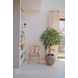 Kunstig plante Longifolia Royale 150 cm Kunstig plante Longifolia Royale 150 cm