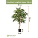 Kunstig plante Longifolia Royale 150 cm Kunstig plante Longifolia Royale 150 cm