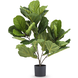 Kunstig plante Fiddle Leaf 65 cm Kunstig plante Fiddle Leaf 65 cm