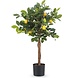 Kunstigt citrontræ 75 cm Kunstigt citrontræ 75 cm