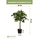 Kunstigt citrontræ 75 cm Kunstigt citrontræ 75 cm