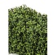 Kunstig buksbomhæk 70x20x25 cm UV Kunstig buksbomhæk 70x20x25 cm UV