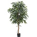 Kunstig plante Longifolia Royale 180 cm Kunstig plante Longifolia Royale 180 cm
