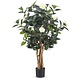 Kunstig plante Camellia japonica 100 cm Kunstig plante Camellia japonica 100 cm