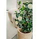 Kunstig plante Camellia japonica 100 cm Kunstig plante Camellia japonica 100 cm