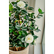 Kunstig plante Camellia japonica 100 cm Kunstig plante Camellia japonica 100 cm