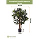 Kunstig plante Camellia japonica 100 cm Kunstig plante Camellia japonica 100 cm
