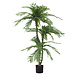 Cycas kunstig palme Classic 165 cm Cycas kunstig palme Classic 165 cm