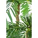 Cycas kunstig palme Classic 165 cm Cycas kunstig palme Classic 165 cm
