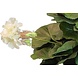 Kunstig geranium hvid 40 cm Kunstig geranium hvid 40 cm